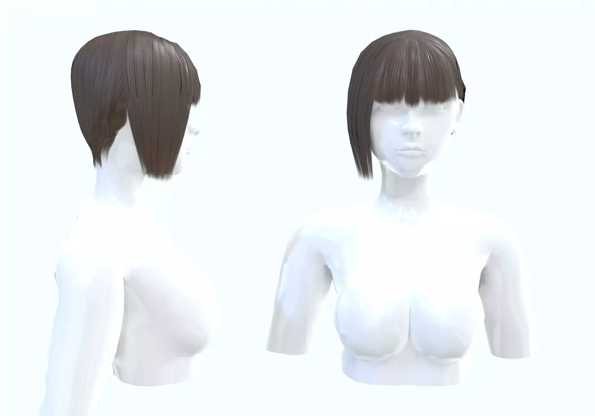 Bangs Side Hairstyle  3D model_0