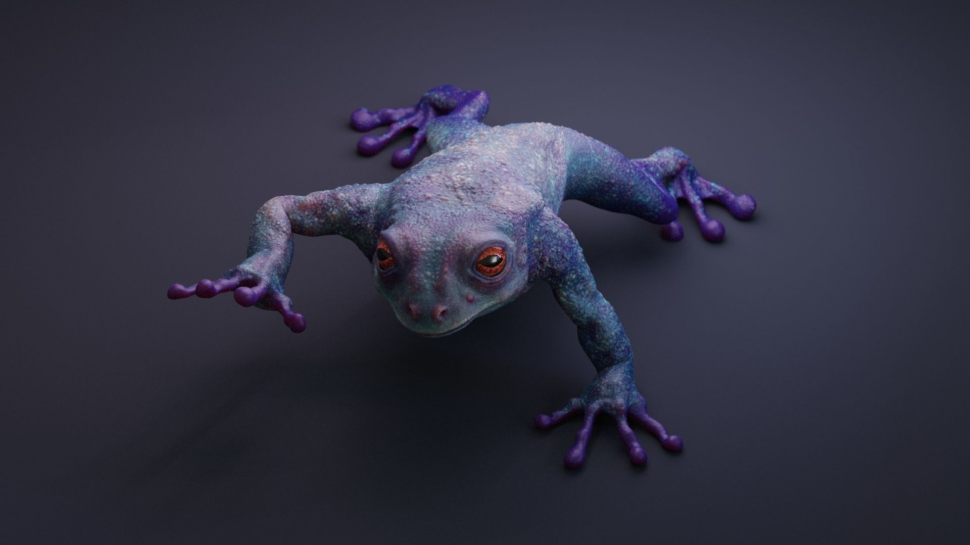 Blue Frog Character - Rigged - Game Ready Low-poly 3D model_13