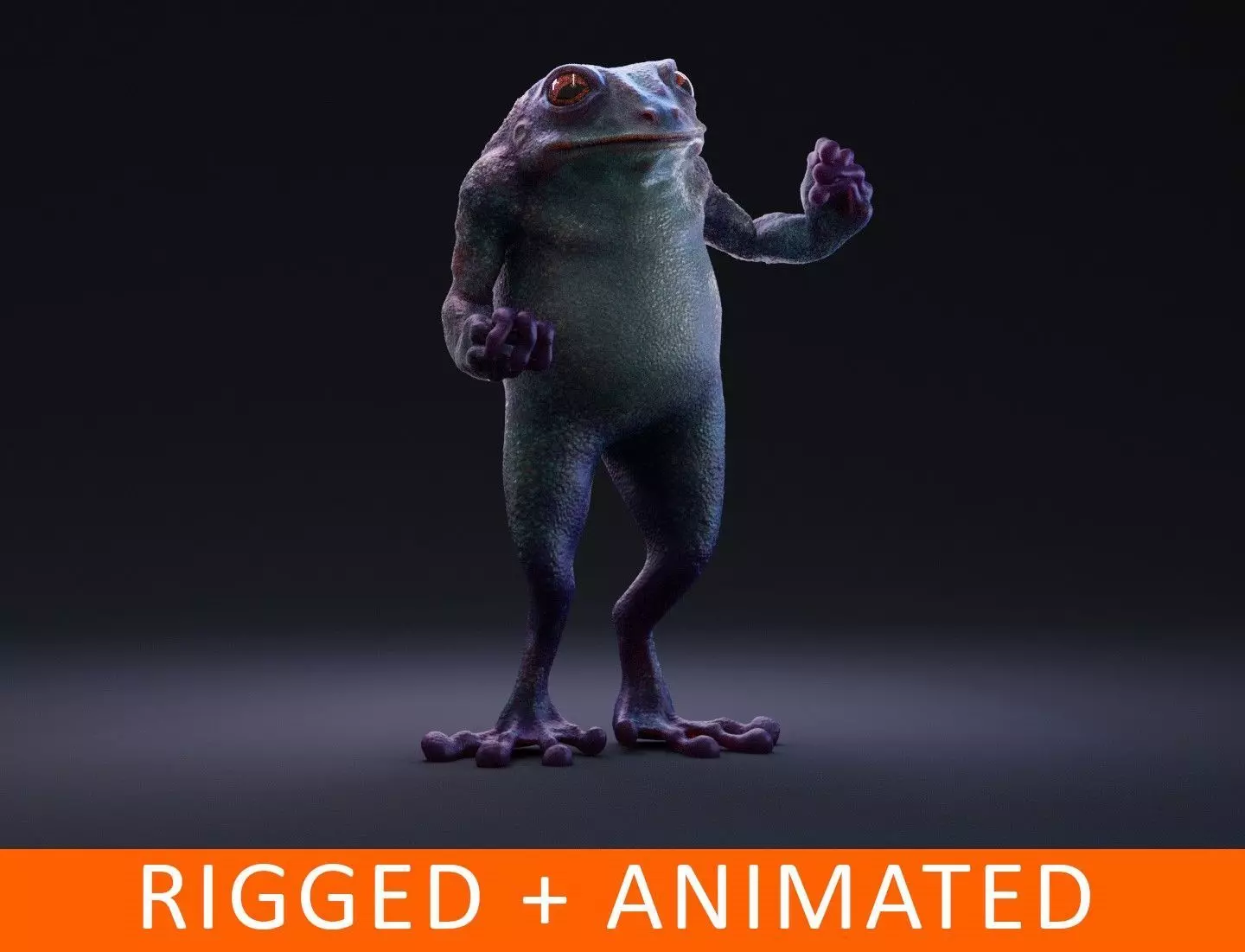 Blue Frog Character - Rigged - Game Ready Low-poly 3D model_0