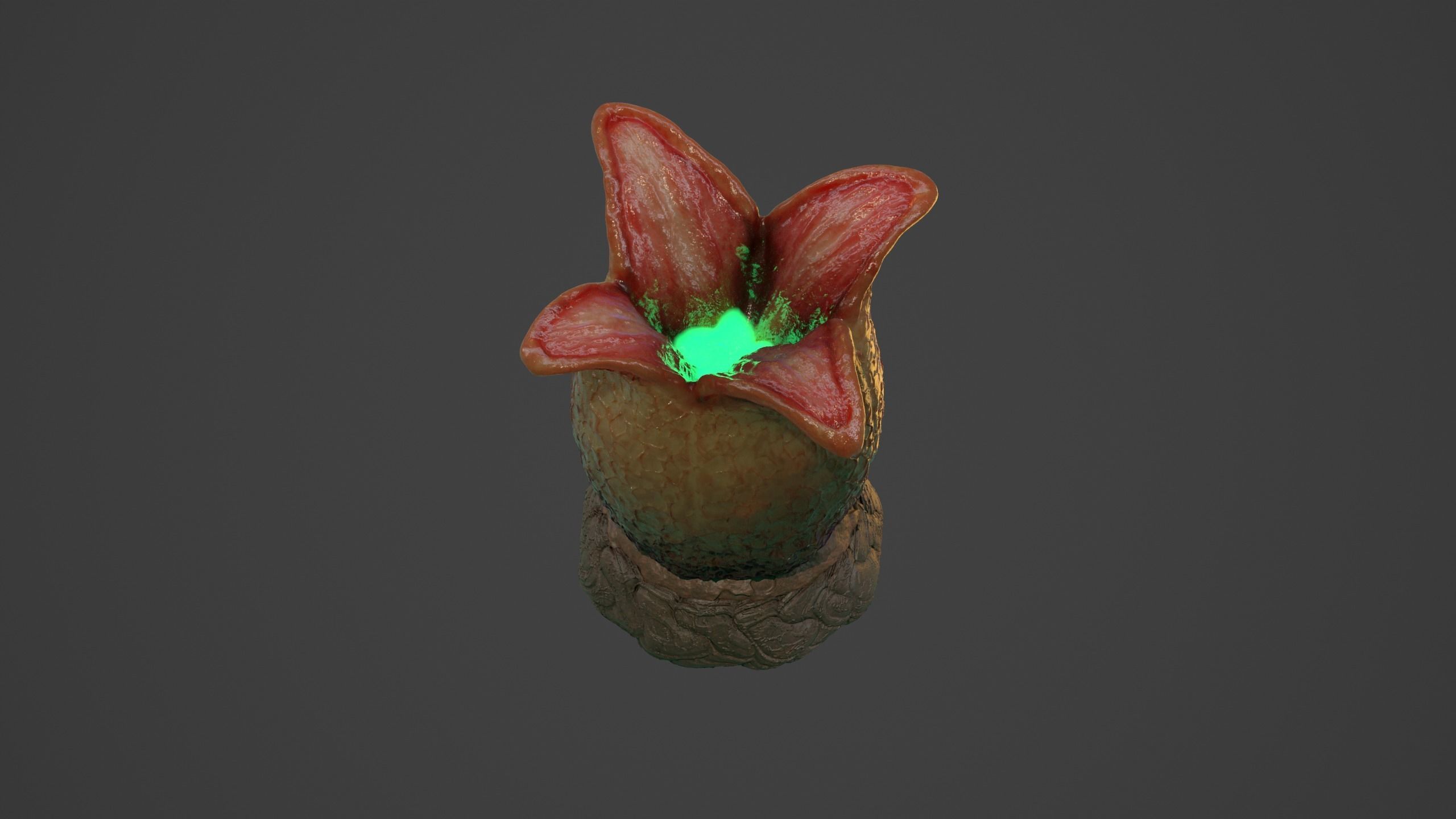 Ovomorph venus flytrap 3D model_4