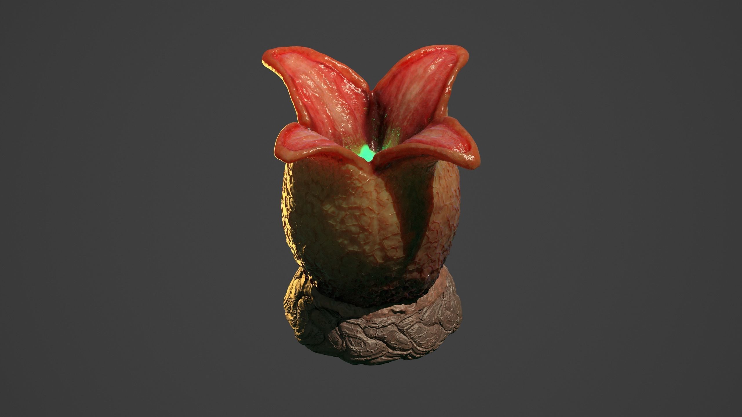 Ovomorph venus flytrap 3D model_3