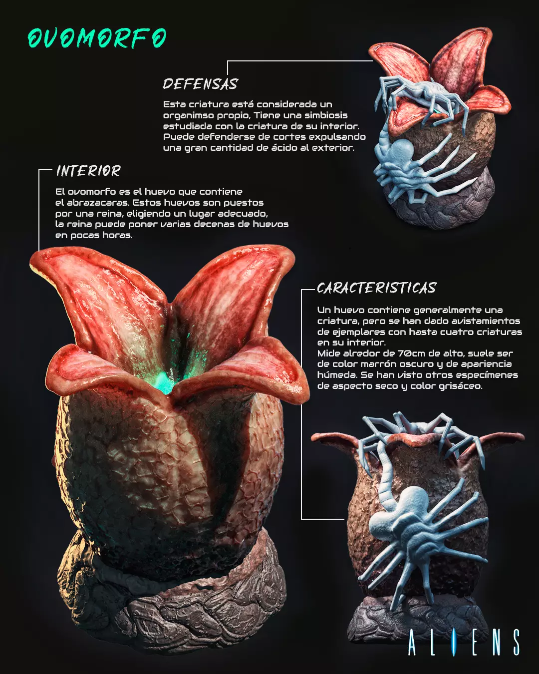 Ovomorph venus flytrap 3D model_0