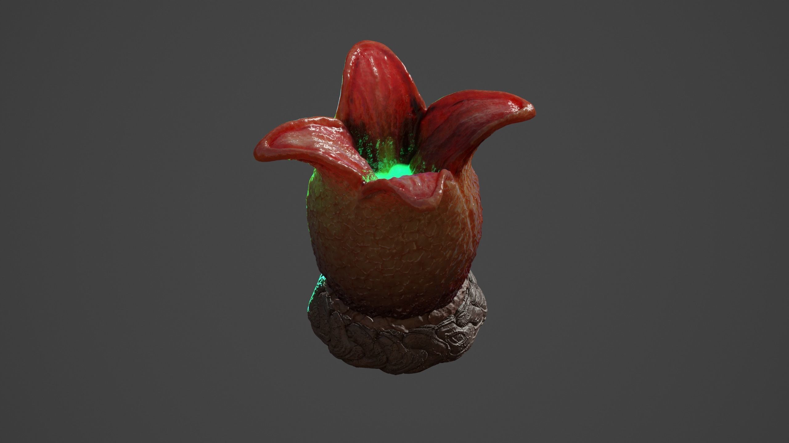 Ovomorph venus flytrap 3D model_6