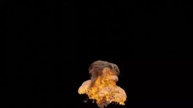 Fire Simulation Realistic Blender Cycles Render 3D model