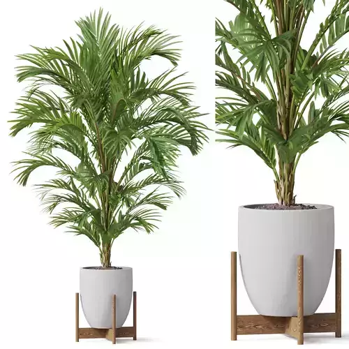 Plants collection 815