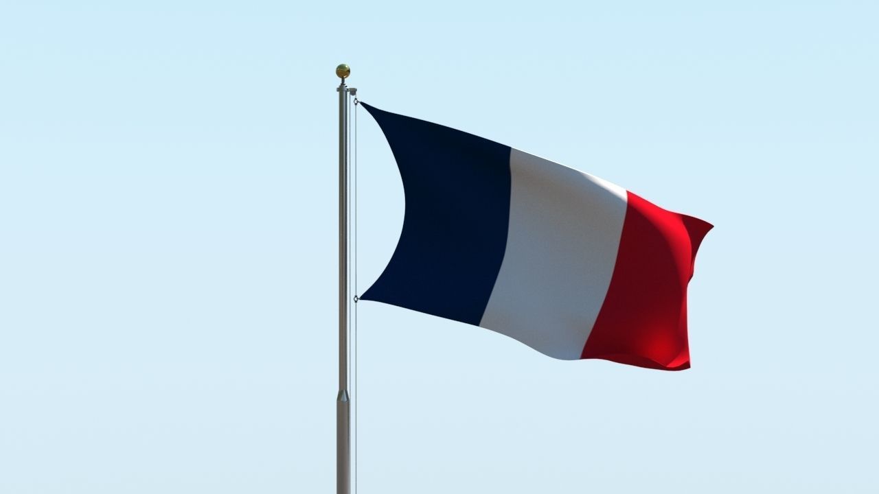 Animated France Flag 3D model_4