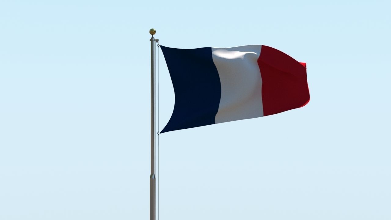 Animated France Flag 3D model_6