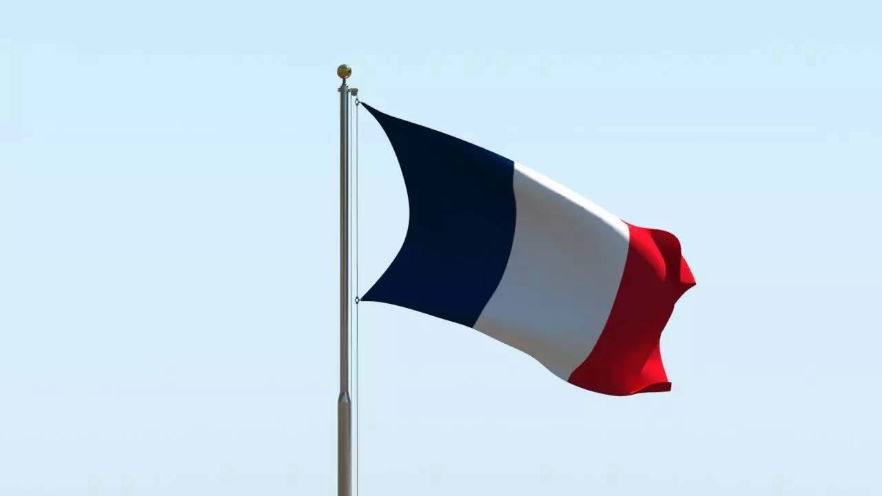 Animated France Flag 3D model_0