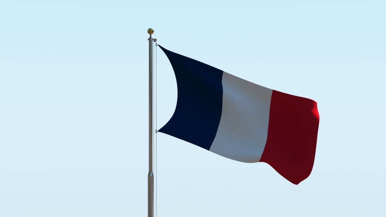 Animated France Flag 3D model_9