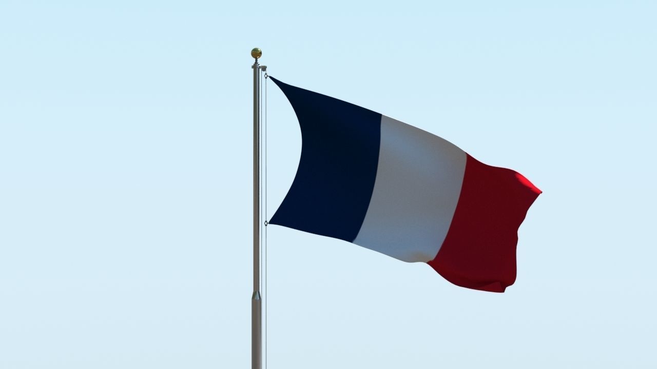Animated France Flag 3D model_2