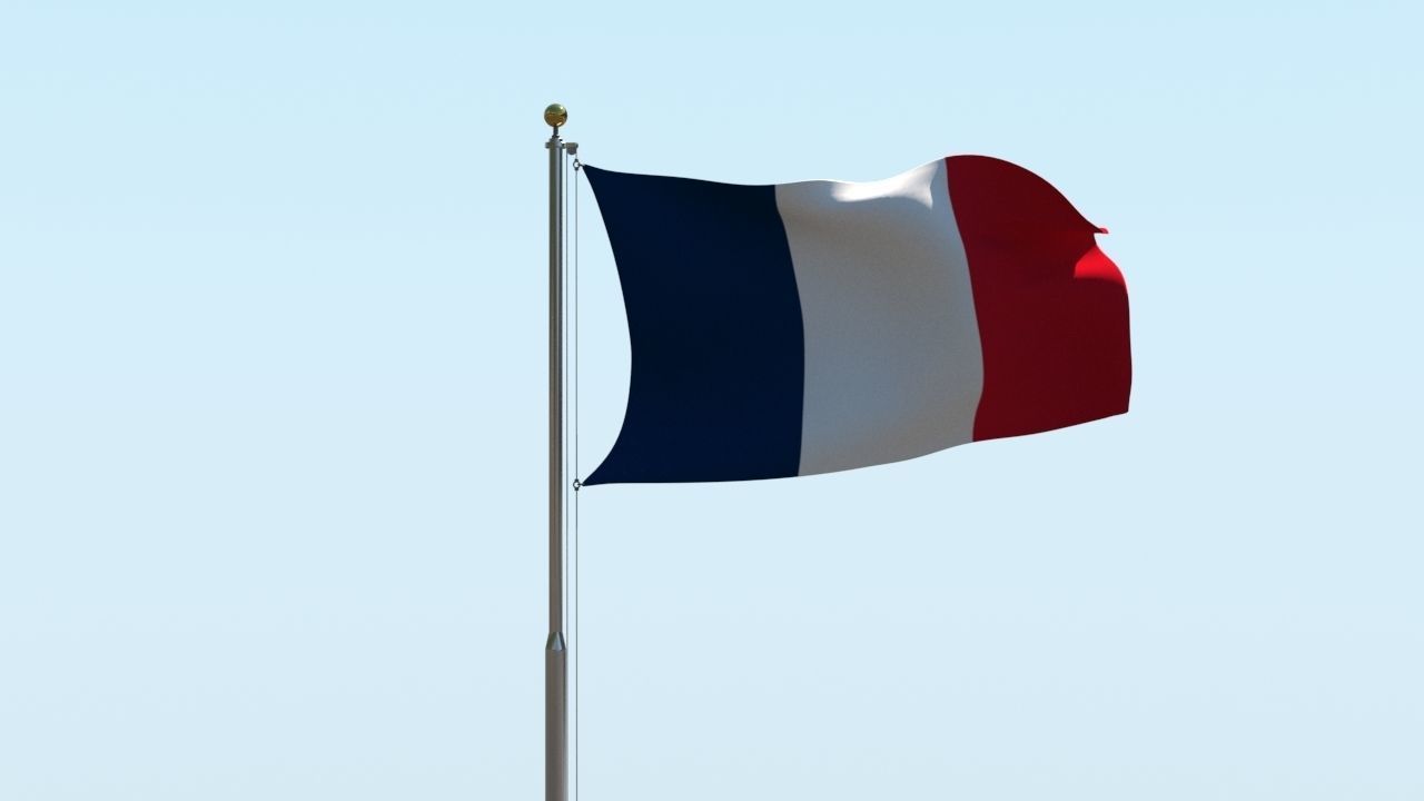 Animated France Flag 3D model_7