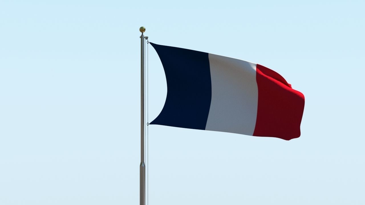 Animated France Flag 3D model_8