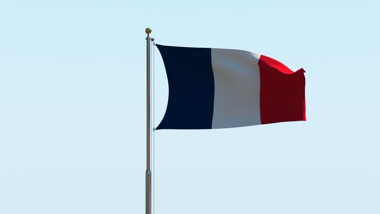 Animated France Flag 3D model_5