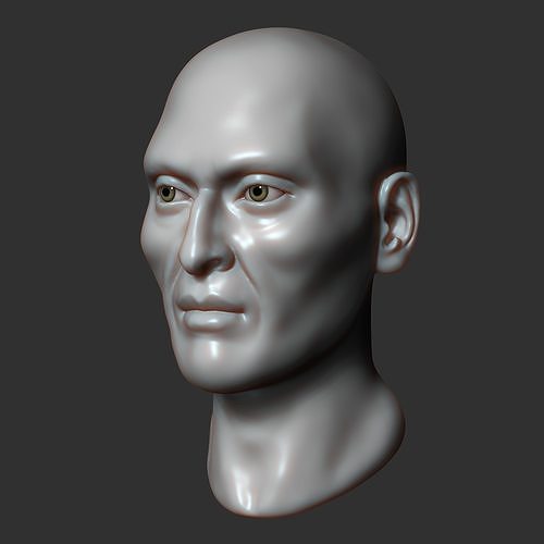 Asian male head sculpt 3D model
