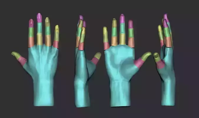 female hand to pose  3D print model