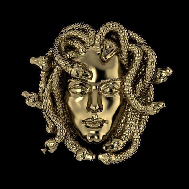 medusa head with snakes 3D print model_1