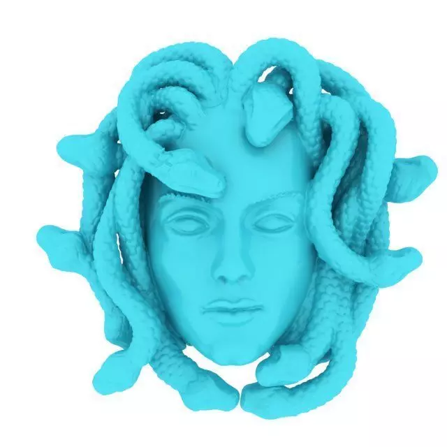 medusa head with snakes 3D print model_0