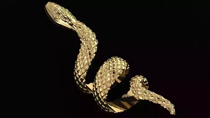 Snake long ring