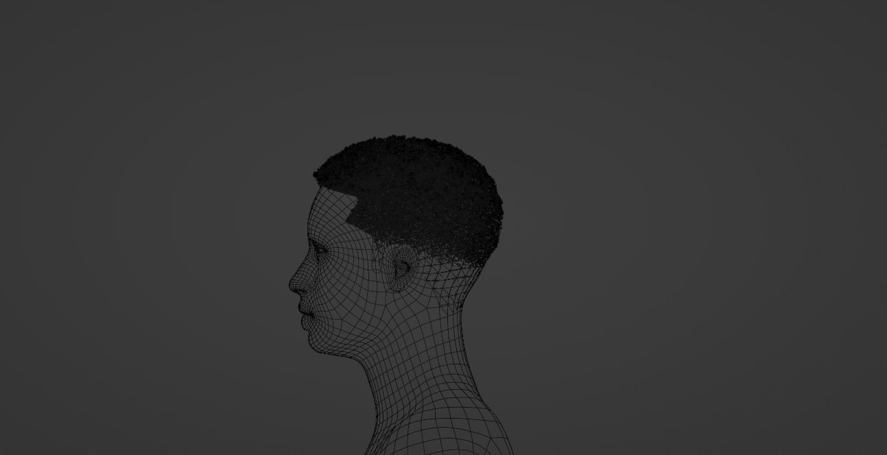 Fade Hair 3D model_22