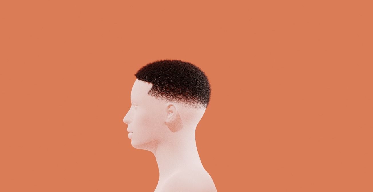 Fade Hair 3D model_2