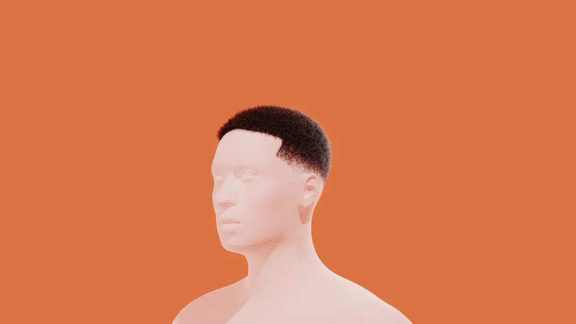 Fade Hair 3D model_0