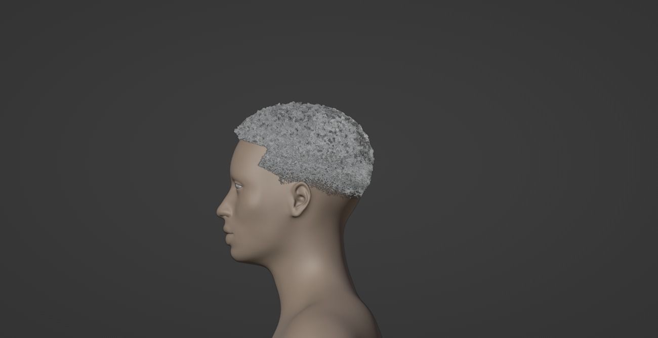 Fade Hair 3D model_11
