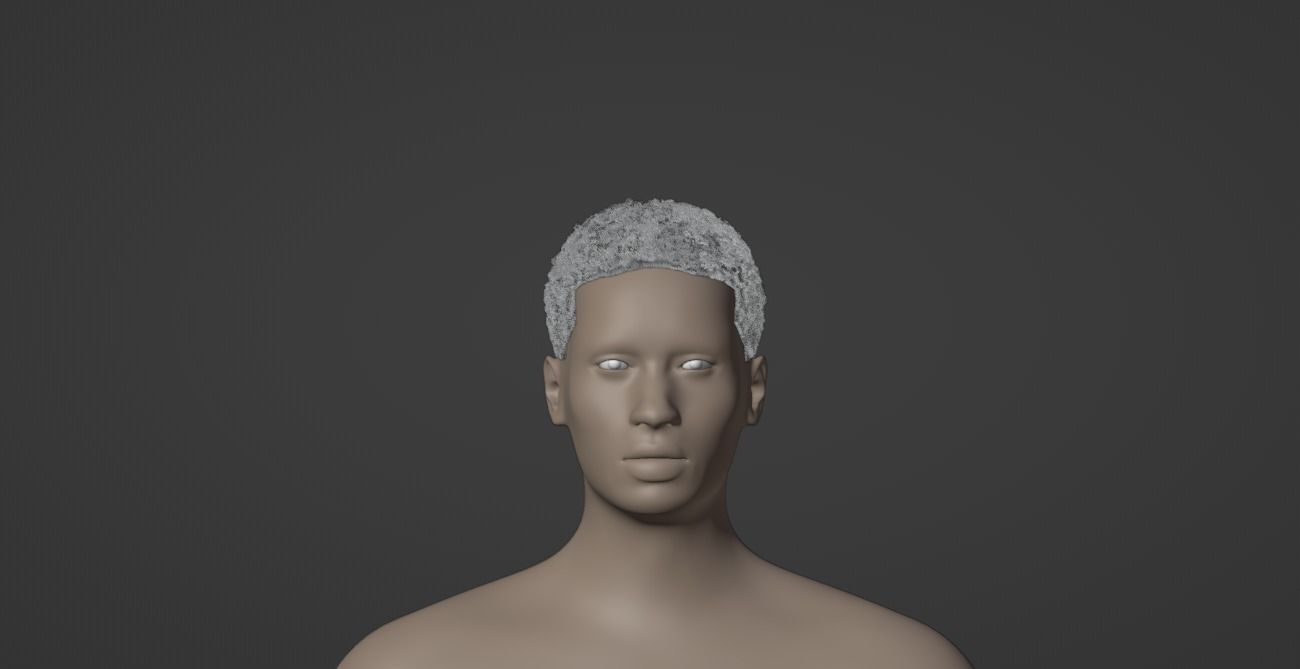 Fade Hair 3D model_10