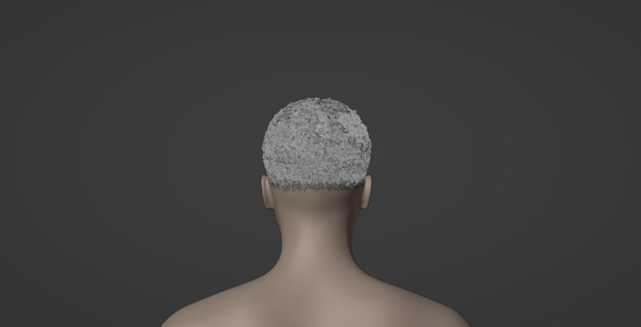 Fade Hair 3D model_12
