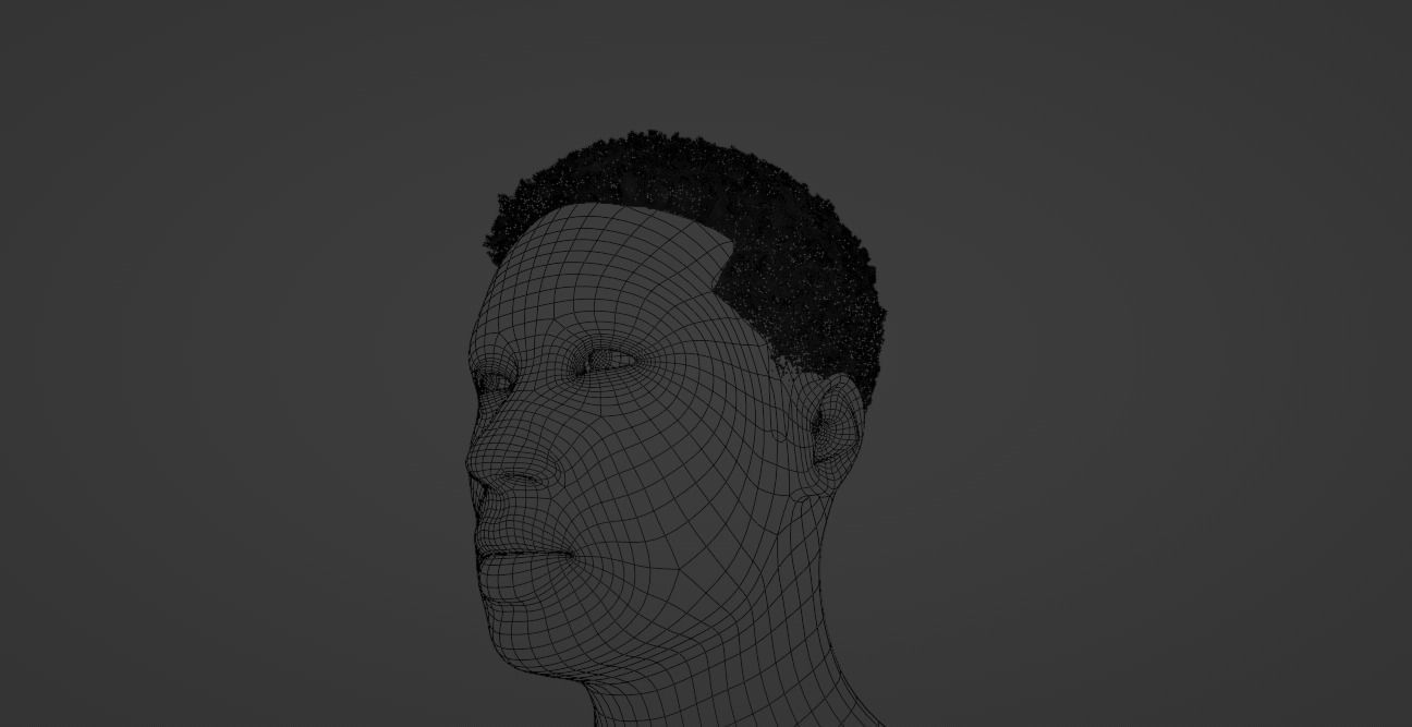 Fade Hair 3D model_28