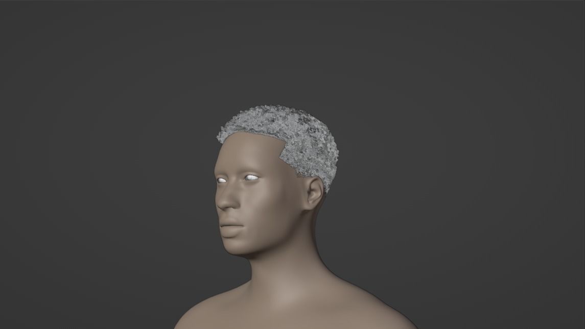 Fade Hair 3D model_9