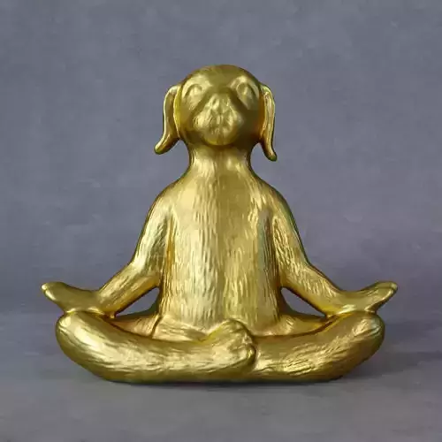 Yoga dog