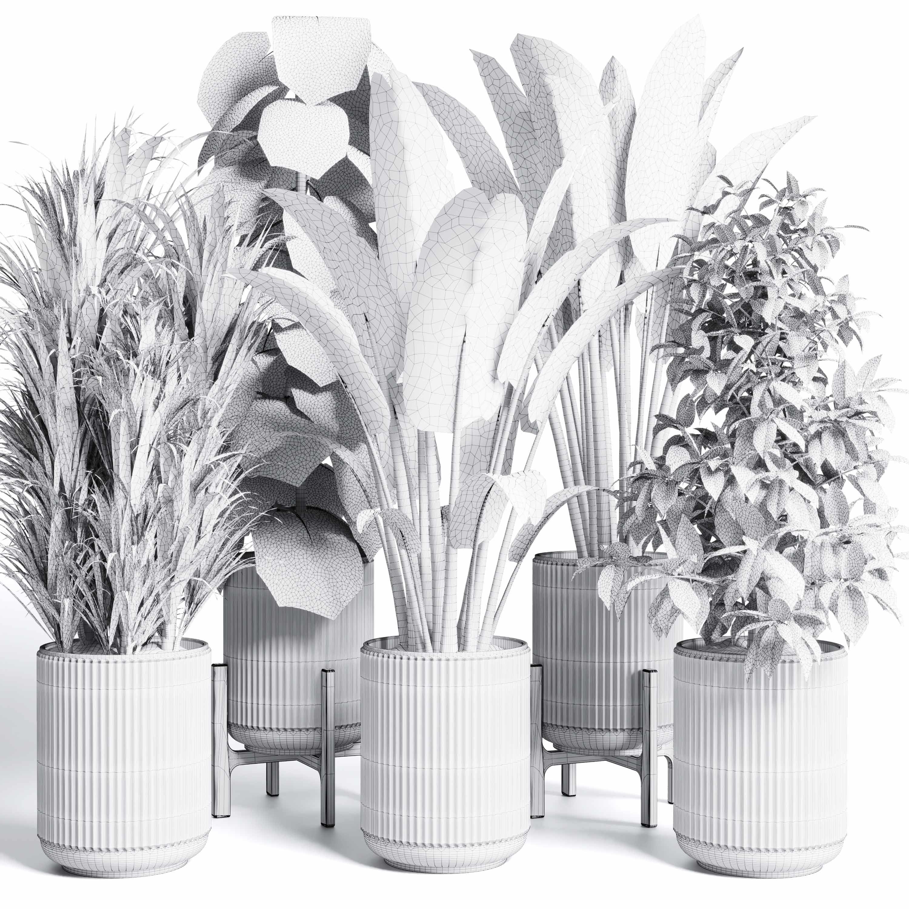 indoor plant set 300 plant ravenala ficus rubbery monstera Low-poly 3D model_6