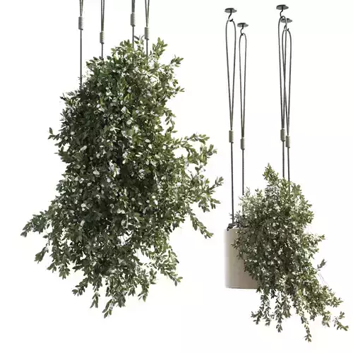 Plants hanging with flowers pots indoor plant 302