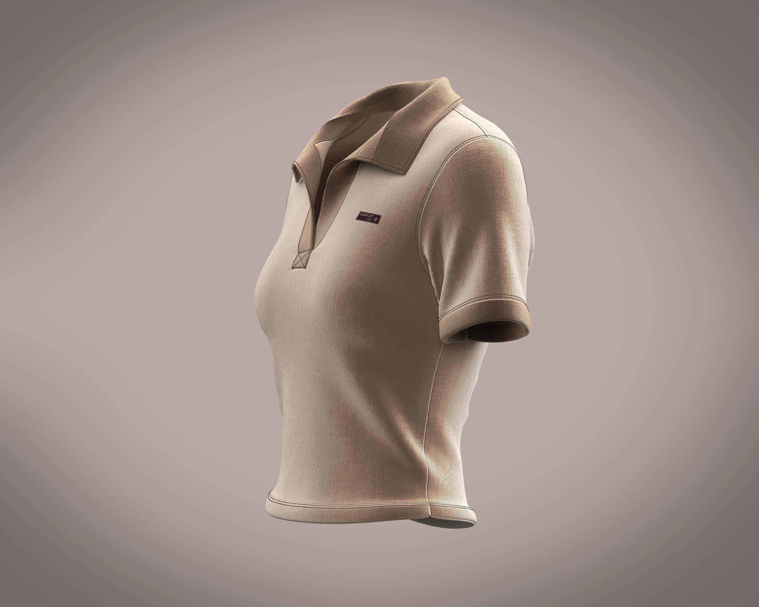 Ladies velour polo co-ord in brown 3D model_5