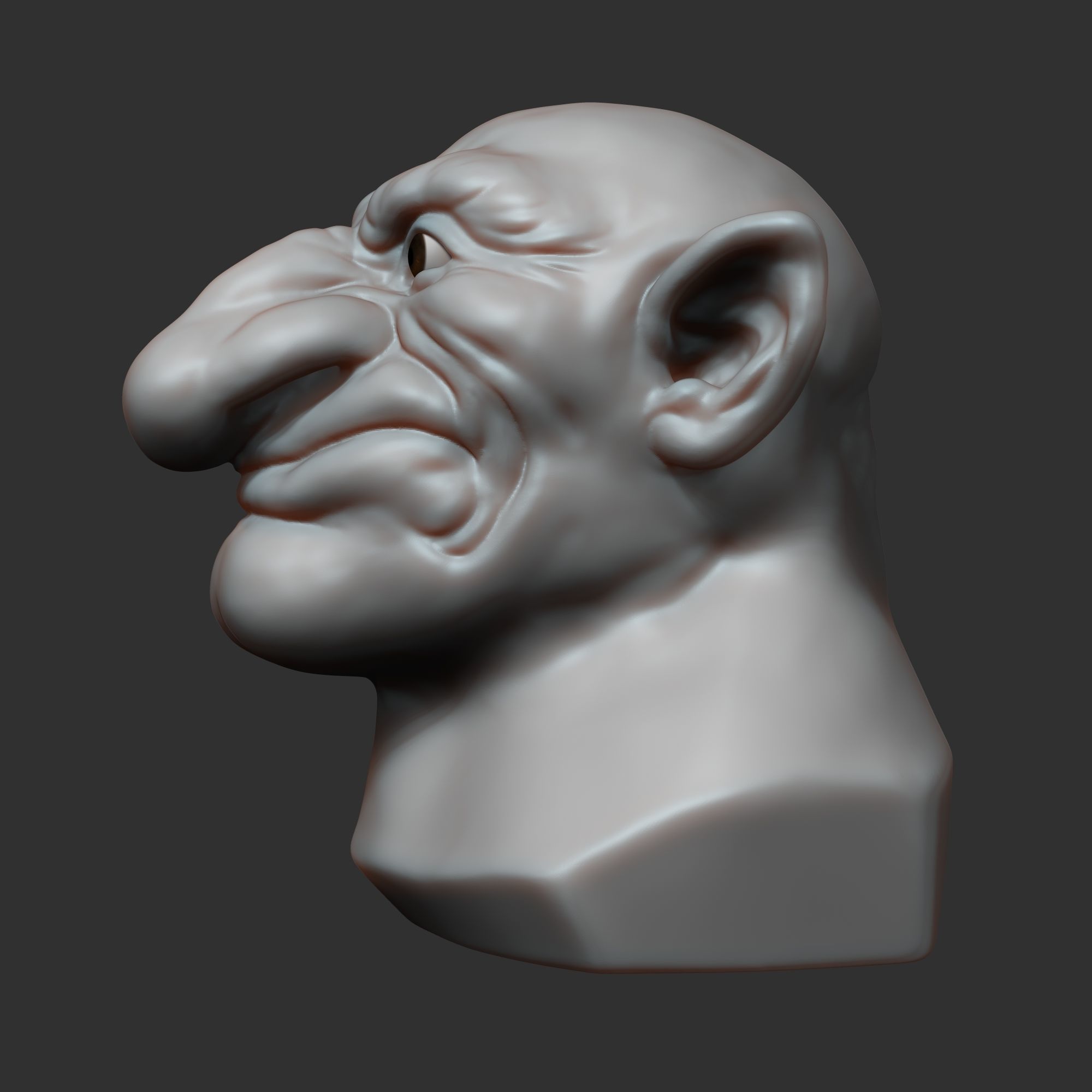 Dwarf head sculpt 3D model_2