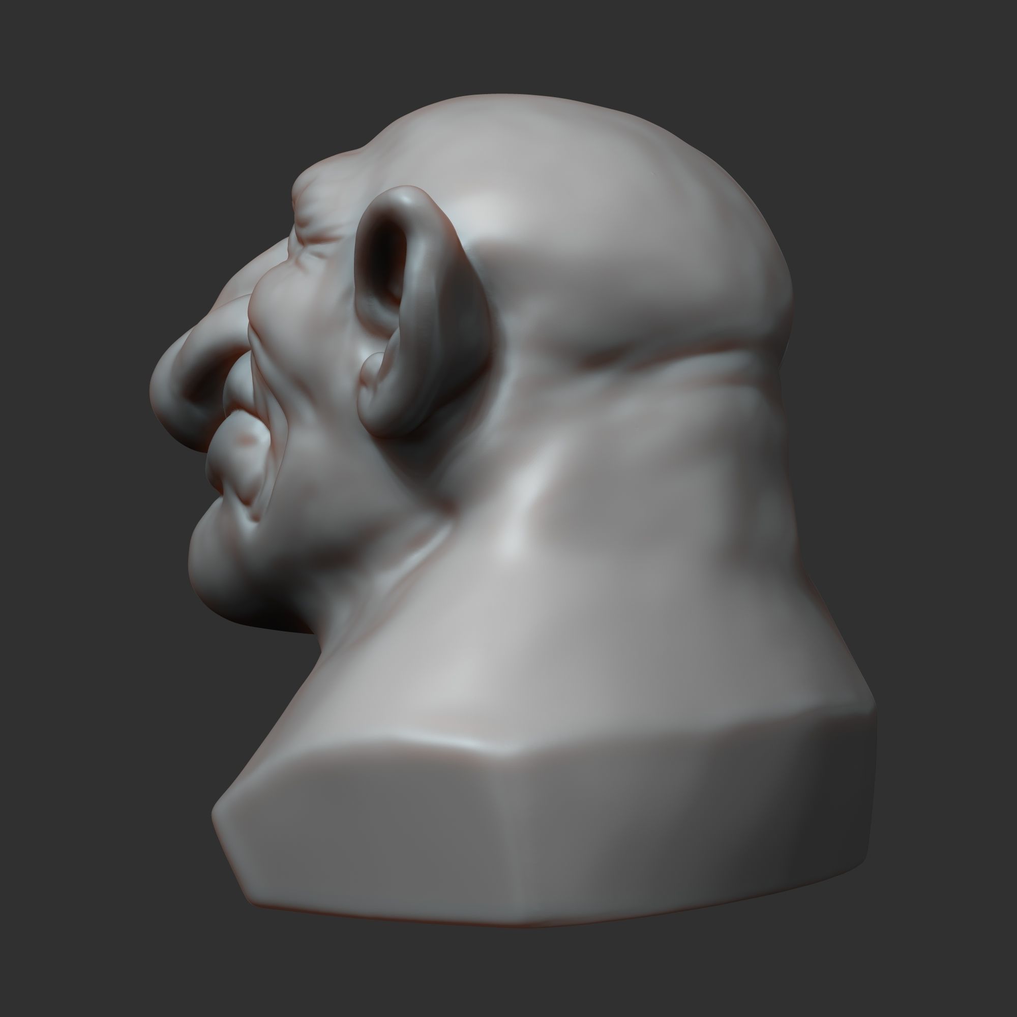 Dwarf head sculpt 3D model_3