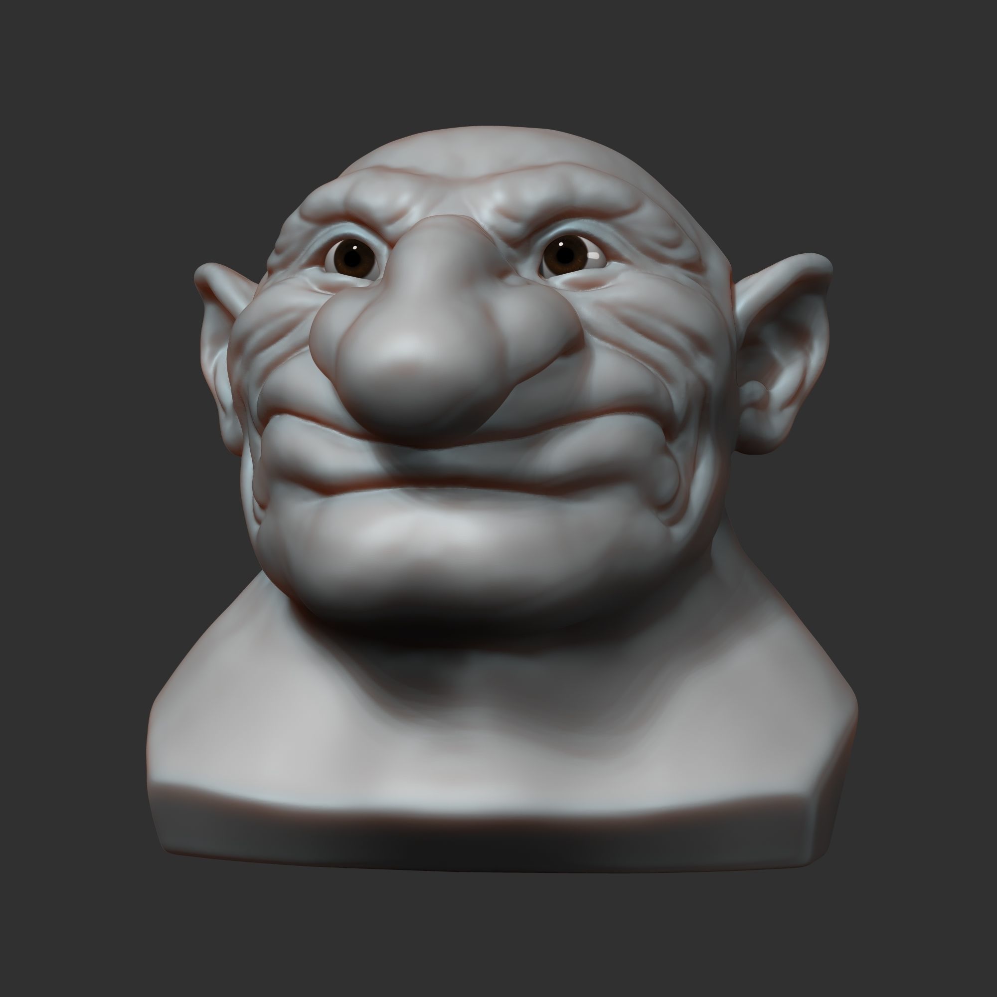 Dwarf head sculpt 3D model_6