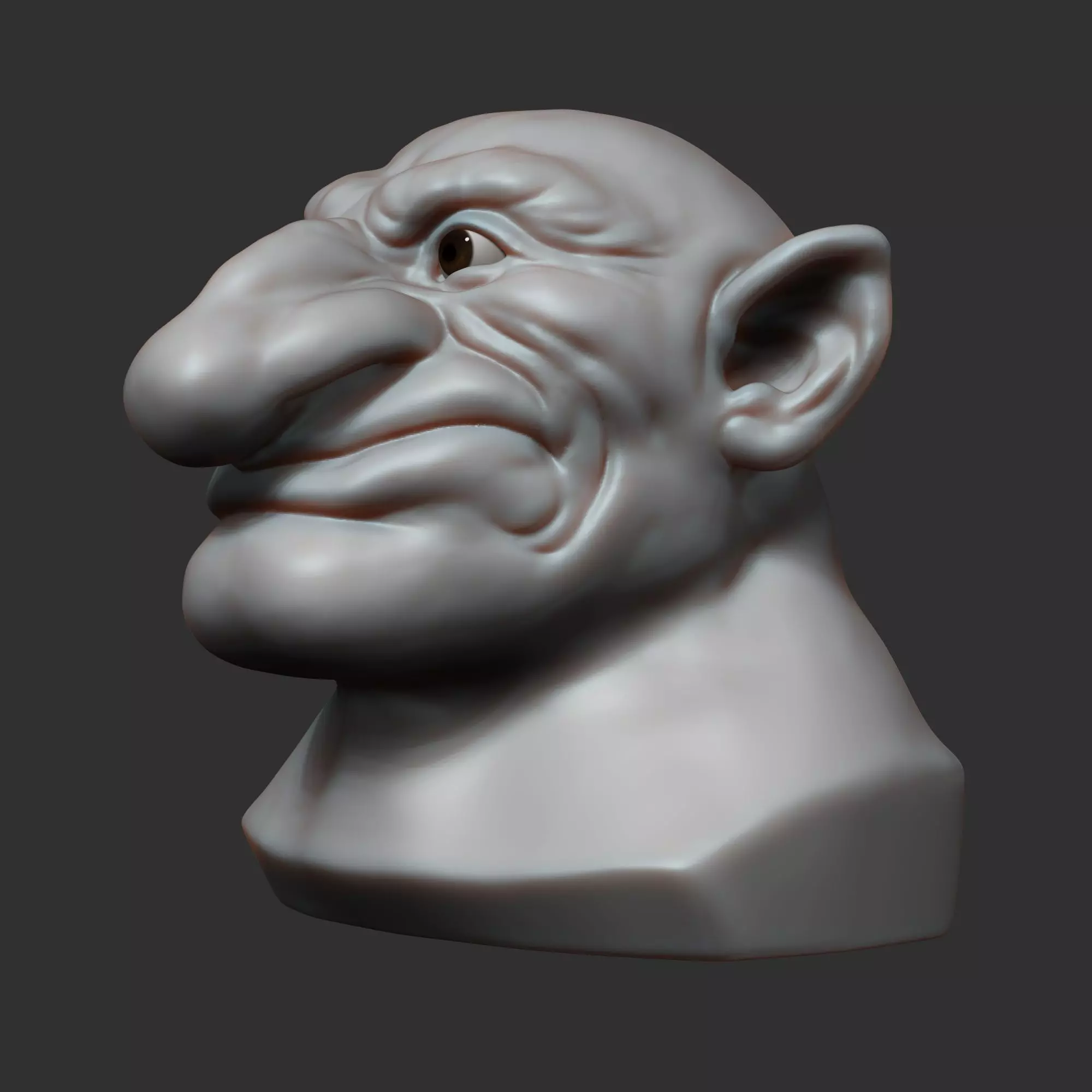 Dwarf head sculpt 3D model_0