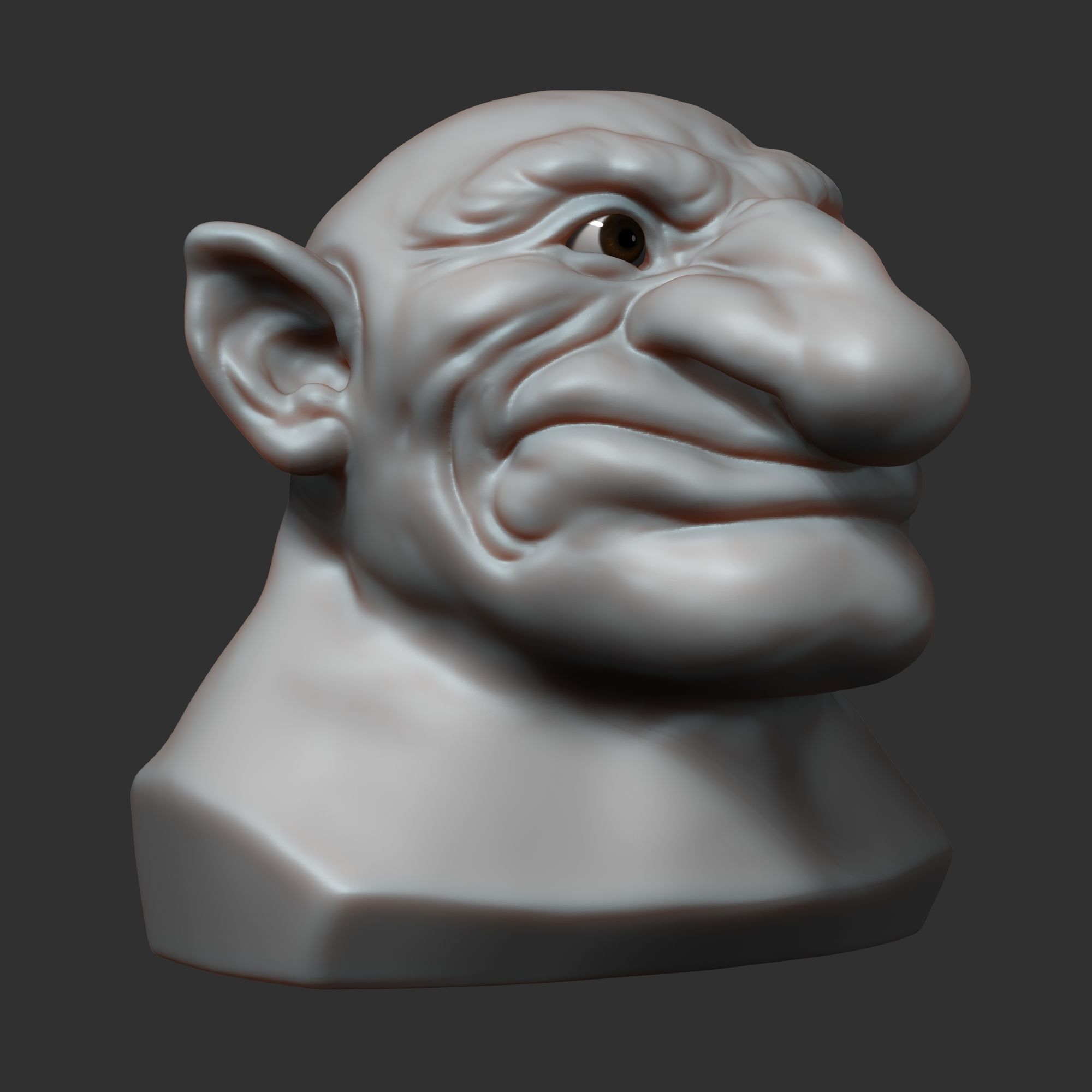 Dwarf head sculpt 3D model_12