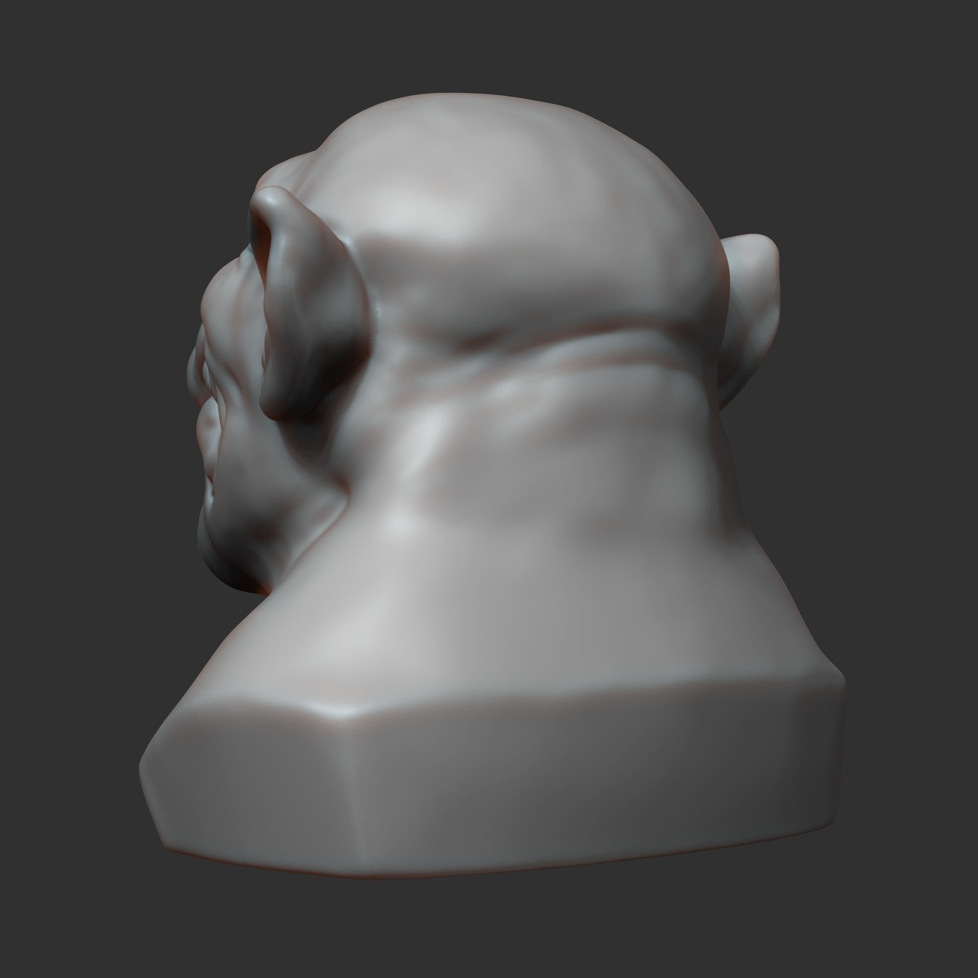 Dwarf head sculpt 3D model_4