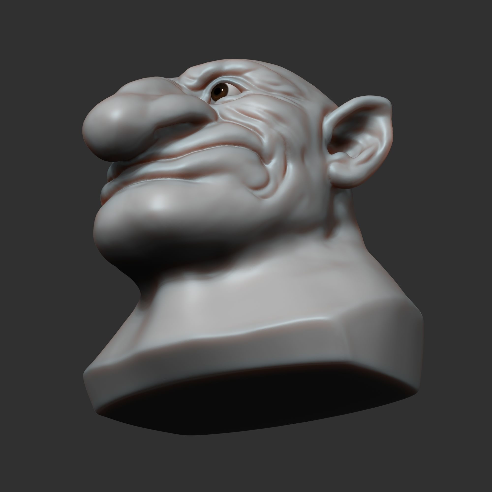 Dwarf head sculpt 3D model_11