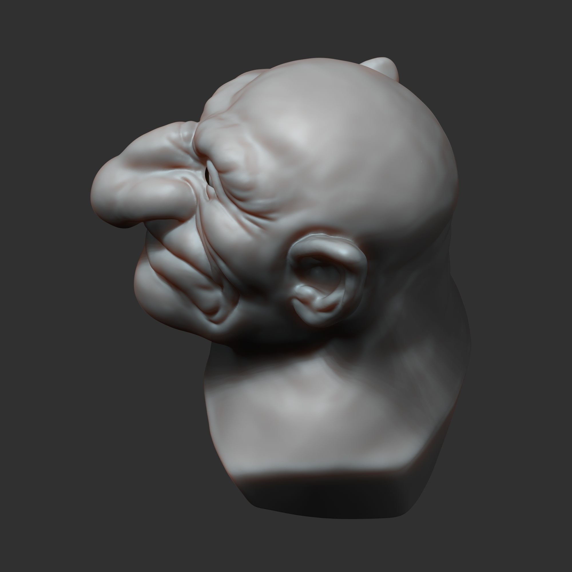 Dwarf head sculpt 3D model_10
