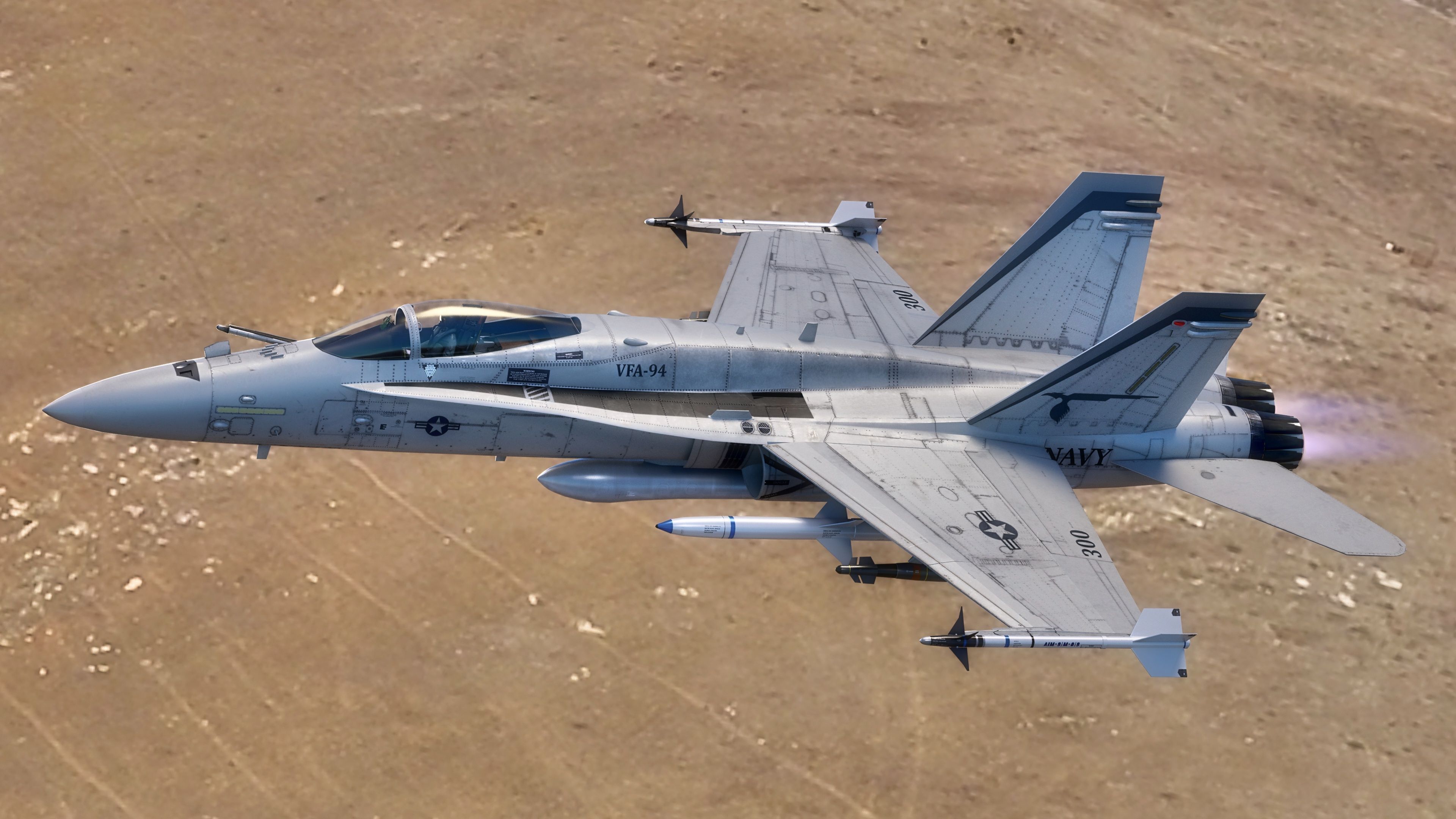 FA 18 Hornet-with Cocpit-Fully Rigged-Changeable decal and text Low-poly 3D model_11