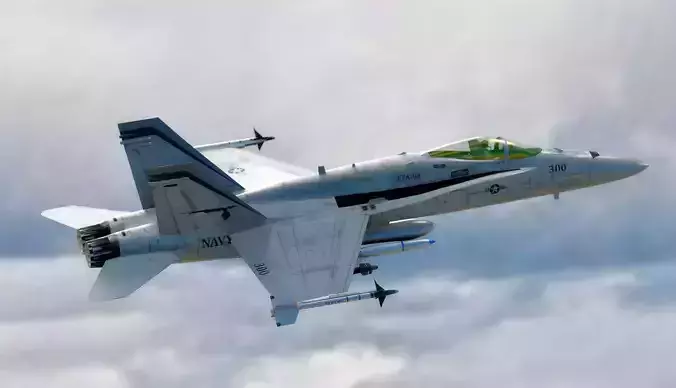 FA 18 Hornet-with Cocpit-Fully Rigged-Changeable decal and text