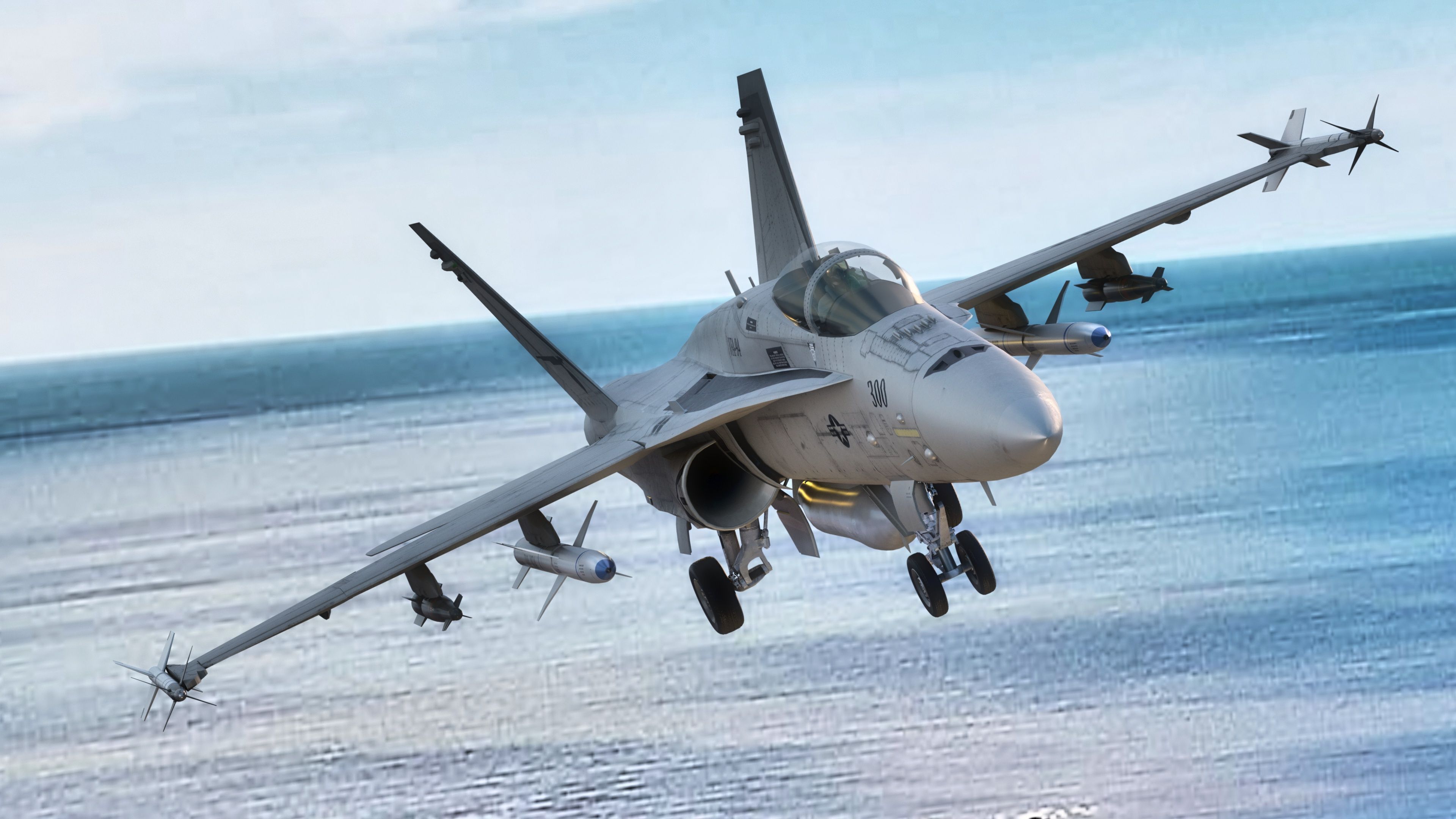 FA 18 Hornet-with Cocpit-Fully Rigged-Changeable decal and text Low-poly 3D model_7