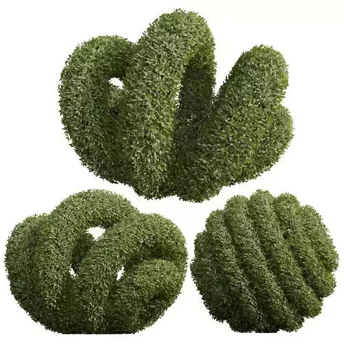 New Plant Ligustrum Quihoui Privet Pruned02 3D model