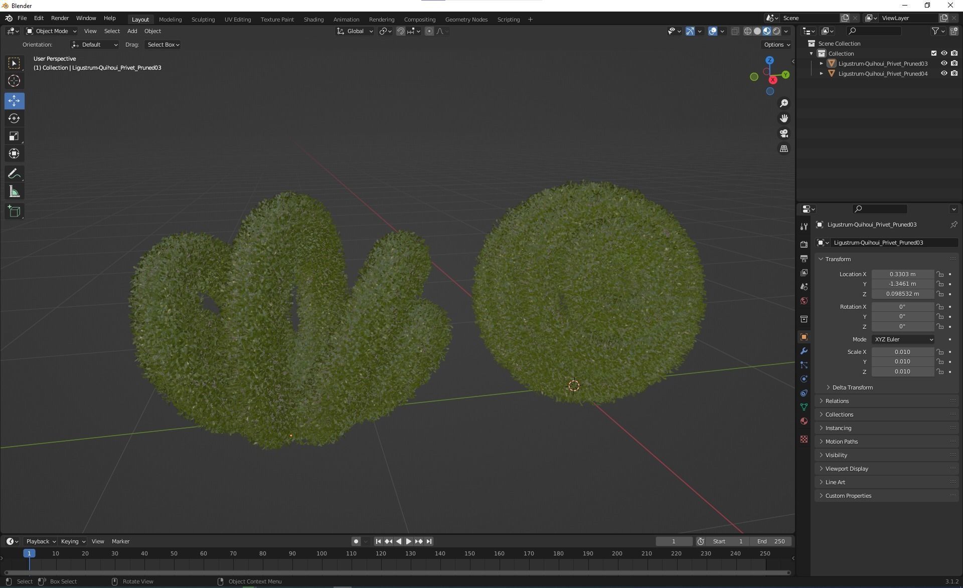 New Plant Ligustrum Quihoui Privet Pruned02 3D model_5