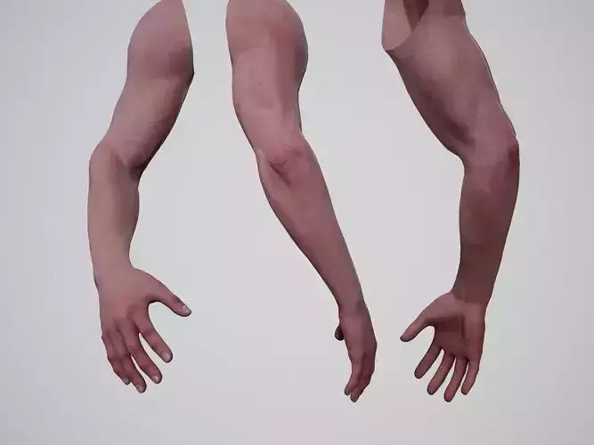 First Person Arms - 1 Low-poly 3D model First Person Arms - 1 Low-poly 3D model