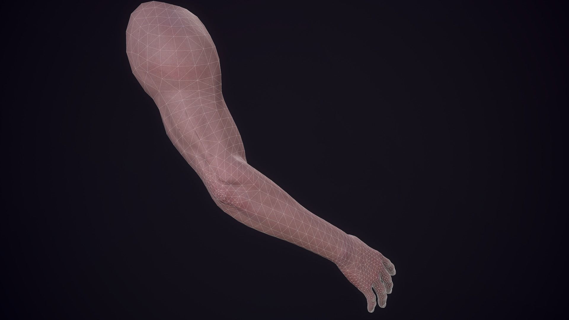 First Person Arms - 1 Low-poly 3D model_9