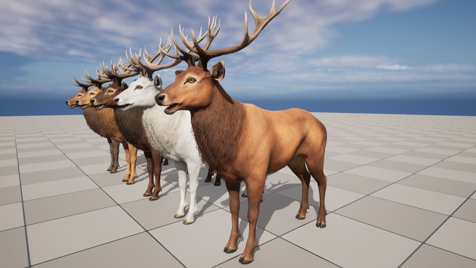Red Deer stag Low-poly 3D model_9